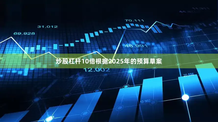 炒股杠杆10倍　　根据2025年的预算草案
